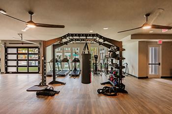 Peloton bike and training space